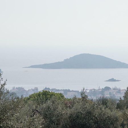 Armamento Villa Moni Evaggelistrias Bagian luar foto